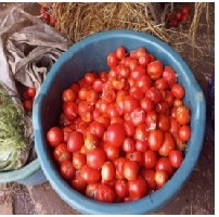tomato jam processing by market women